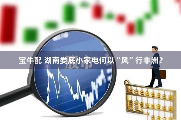 宝牛配 湖南娄底小家电何以“风”行非洲？