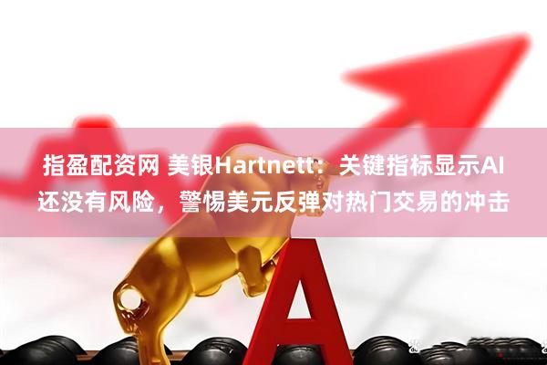 指盈配资网 美银Hartnett：关键指标显示AI还没有风险，警惕美元反弹对热门交易的冲击